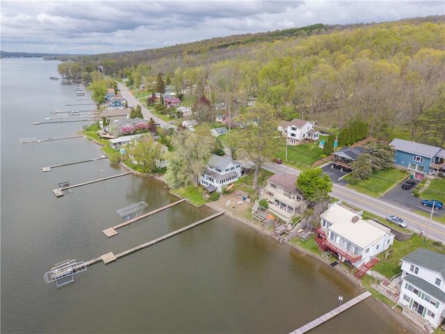 5545 E Lake Rd, Conesus, NY 14435 - bird's eye view of a heavily wooded area and a nearby body of water