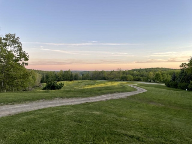 900 County Route 99, Woodhull, NY 14898 - photo 6