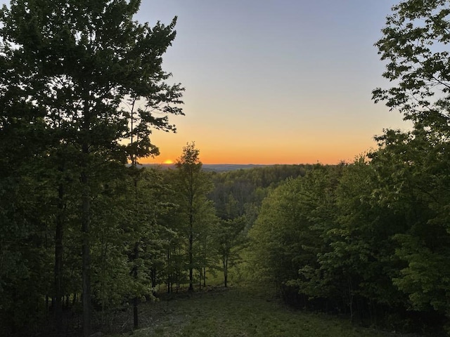 900 County Route 99, Woodhull, NY 14898 - photo 8
