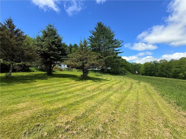2113 Prosser Hollow Rd, Davenport, NY 13820 - view of grassy yard with a wooded view