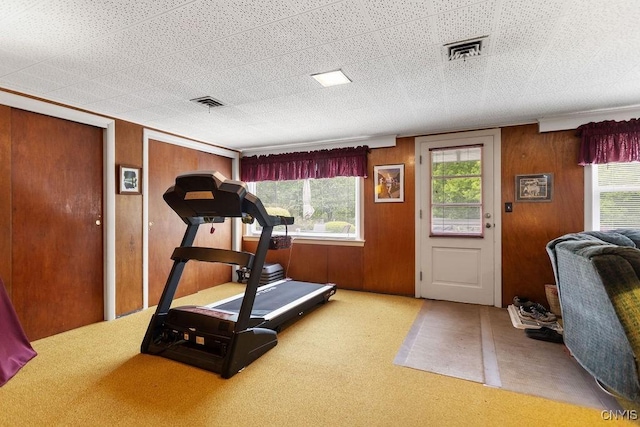 4922 Tenterden Dr, Onondaga, NY 13215 - exercise room with carpet flooring and wooden walls