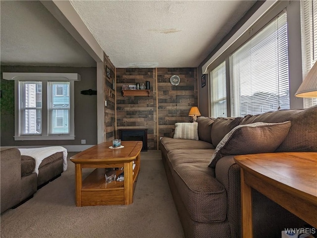 117 N 8th St, Olean-City, NY 14760 - carpeted living area with plenty of natural light, a textured ceiling, wood walls, and a fireplace