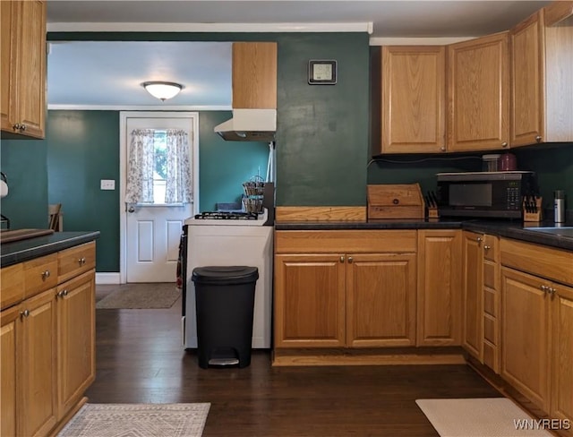 117 N 8th St, Olean-City, NY 14760 - kitchen featuring black microwave, dark countertops, dark wood-type flooring, and under cabinet range hood