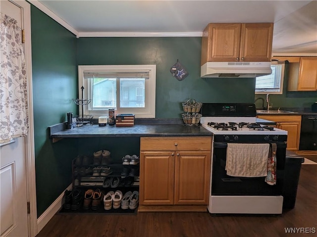 117 N 8th St, Olean-City, NY 14760 - kitchen featuring range with gas cooktop, under cabinet range hood, a sink, dishwasher, and dark wood-type flooring