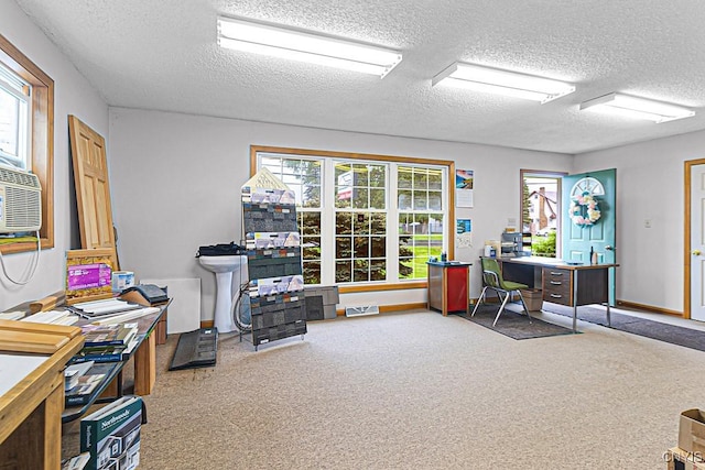2194 State Route 5, Schuyler, NY 13502 - carpeted home office featuring healthy amount of natural light and a textured ceiling