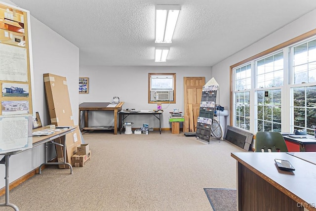 2194 State Route 5, Schuyler, NY 13502 - office area with a textured ceiling, carpet flooring, baseboards, healthy amount of natural light, and cooling unit