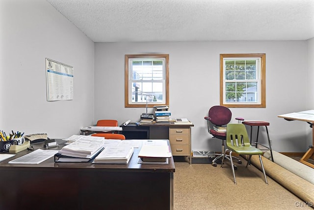 2194 State Route 5, Schuyler, NY 13502 - carpeted home office with a textured ceiling