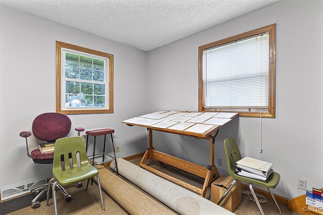 2194 State Route 5, Schuyler, NY 13502 - carpeted office space with a textured ceiling and baseboards