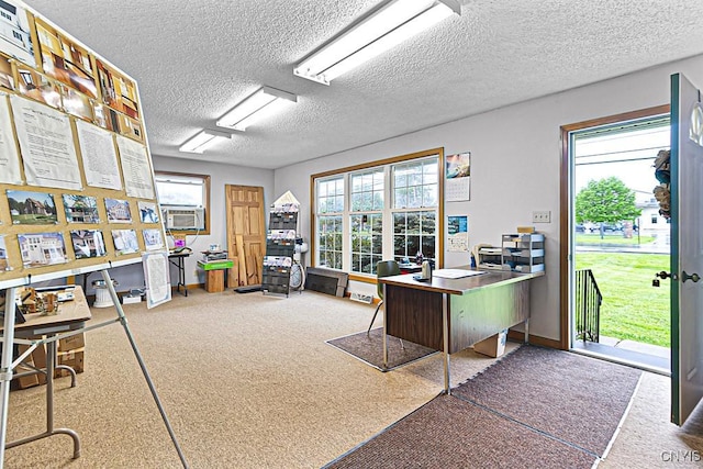 2194 State Route 5, Schuyler, NY 13502 - office area with a textured ceiling, healthy amount of natural light, carpet floors, and baseboards