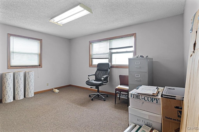 2194 State Route 5, Schuyler, NY 13502 - office area featuring carpet floors, a textured ceiling, and baseboards