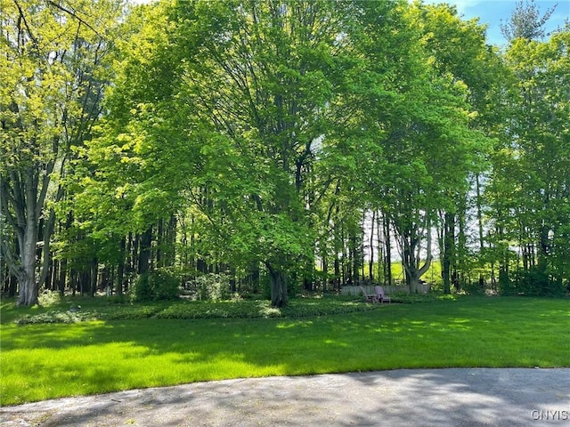 624 Deerfield Dr, Oneida-Inside, NY 13421 - view of green lawn