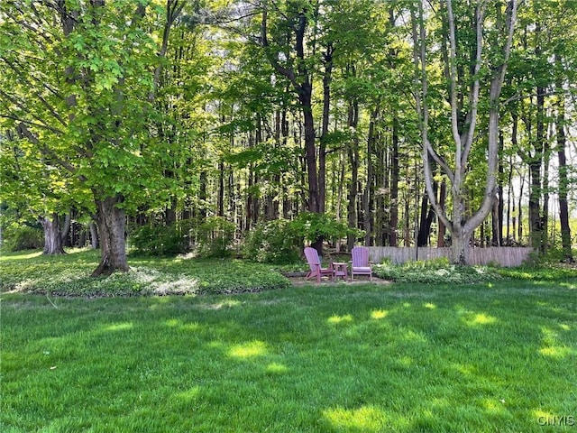 624 Deerfield Dr, Oneida-Inside, NY 13421 - view of yard