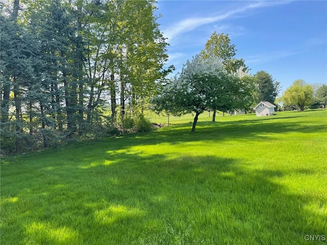 624 Deerfield Dr, Oneida-Inside, NY 13421 - view of green lawn
