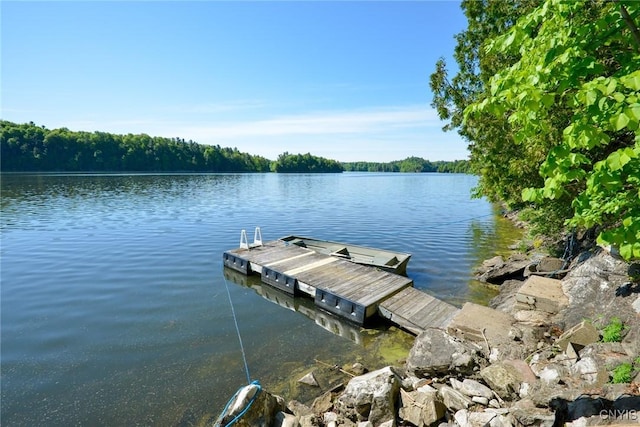 Hanson Bridge Road, Theresa, NY 13691 - dock featuring a water view