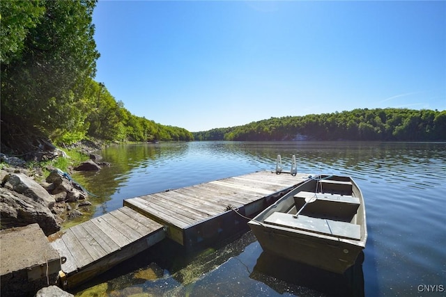Hanson Bridge Road, Theresa, NY 13691 - dock area featuring a view of trees and a water view