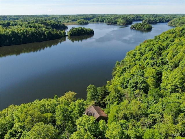 Hanson Bridge Road, Theresa, NY 13691 - bird's eye view of a forest and a nearby body of water