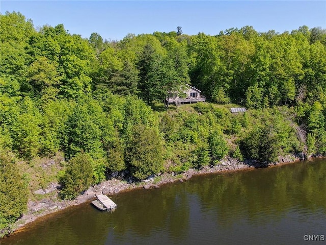 Hanson Bridge Road, Theresa, NY 13691 - bird's eye view of a heavily wooded area and a large body of water