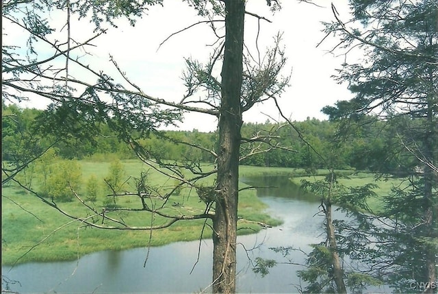 Hanson Bridge Road, Theresa, NY 13691 - water view