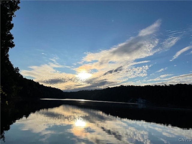 Hanson Bridge Road, Theresa, NY 13691 - water view featuring a forest