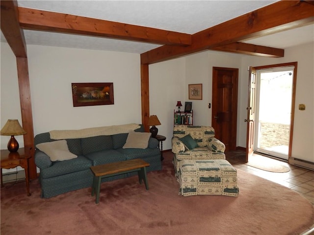 6731 Lake Salubria Dr, Bath, NY 14810 - living room with beam ceiling
