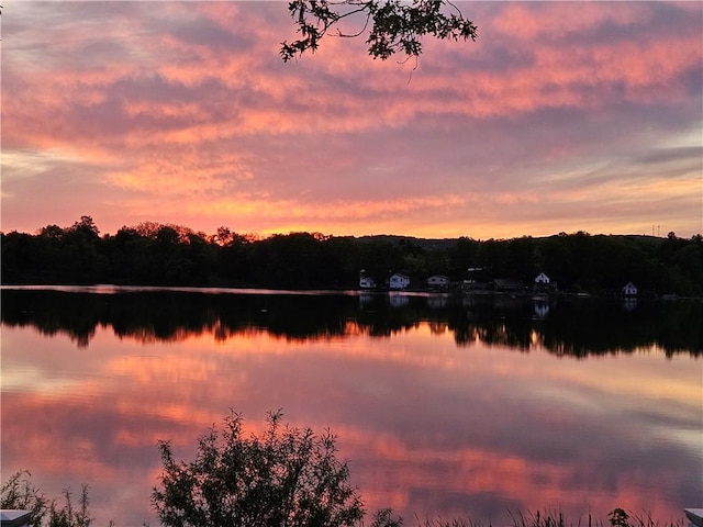 6731 Lake Salubria Dr, Bath, NY 14810 - water view