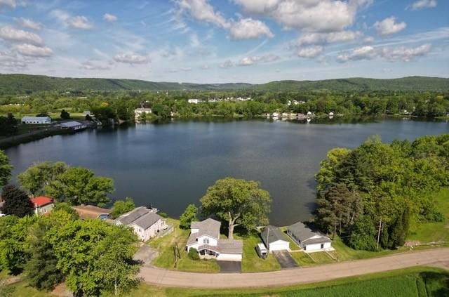 6731 Lake Salubria Dr, Bath, NY 14810 - aerial view of a large body of water and a forest