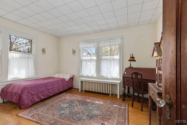 3435 E Lake Rd, Skaneateles, NY 13152 - bedroom with radiator heating unit and wood finished floors