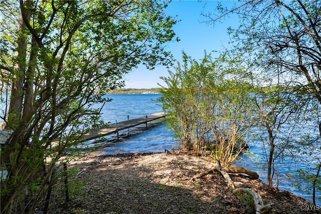 3435 E Lake Rd, Skaneateles, NY 13152 - dock featuring a water view