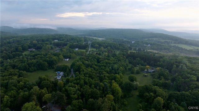LOT34 Vista Ln, Copake, NY 12516 - photo 1