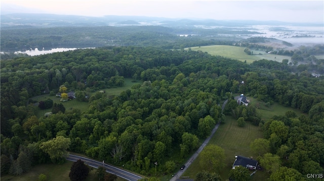 LOT34 Vista Ln, Copake, NY 12516 - photo 3