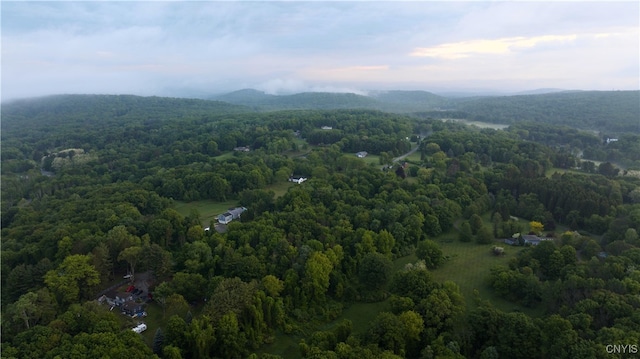 LOT34 Vista Ln, Copake, NY 12516 - photo 6