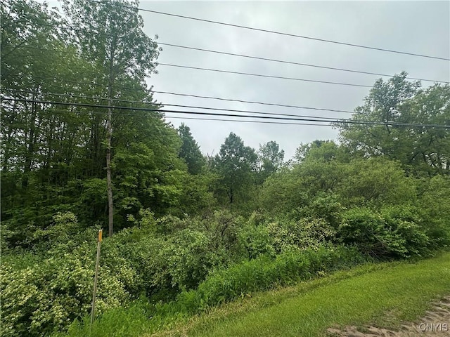 6590 Fox Rd, Marcy, NY 13403