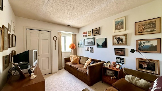 3134 E River Rd, Grand Island, NY 14072 - living area featuring light colored carpet and a textured ceiling
