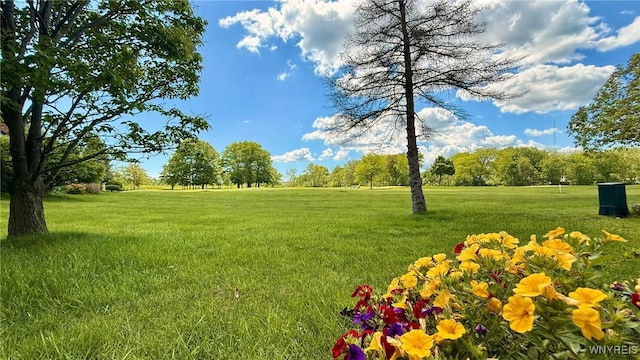 3134 E River Rd, Grand Island, NY 14072 - view of green lawn