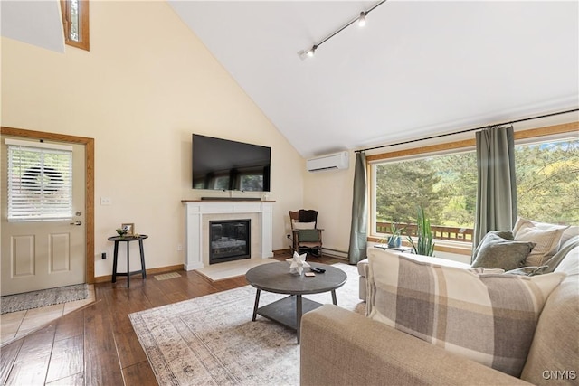 147 Crooked Lake Rd, Tully, NY 13159 - living room featuring a wall unit AC, a glass covered fireplace, rail lighting, plenty of natural light, and high vaulted ceiling