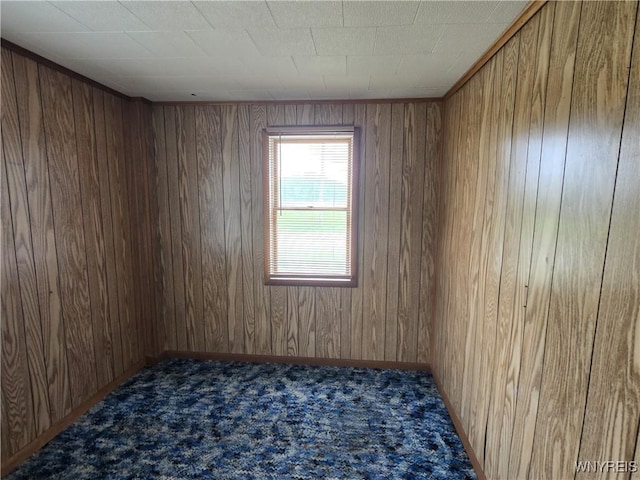 4003 Wood Rd, Albion, NY 14411 - carpeted empty room with wood walls