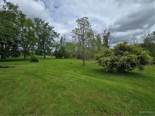 4003 Wood Rd, Albion, NY 14411 - view of grassy yard
