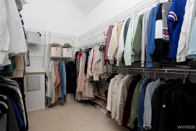 54 Contessa Ct, Amherst, NY 14221 - walk in closet featuring carpet