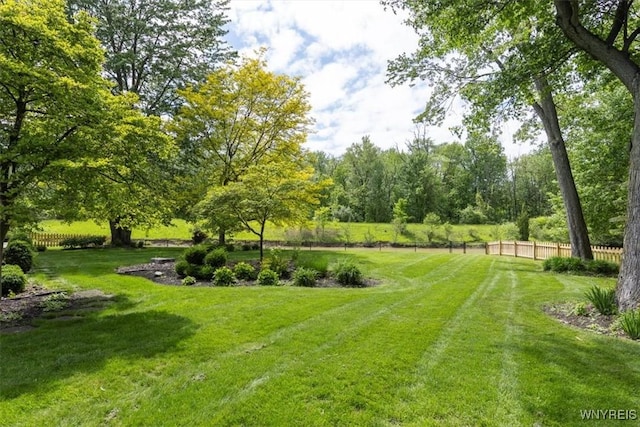 54 Contessa Ct, Amherst, NY 14221 - view of yard