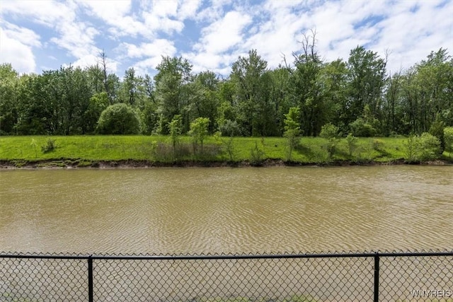 54 Contessa Ct, Amherst, NY 14221 - water view