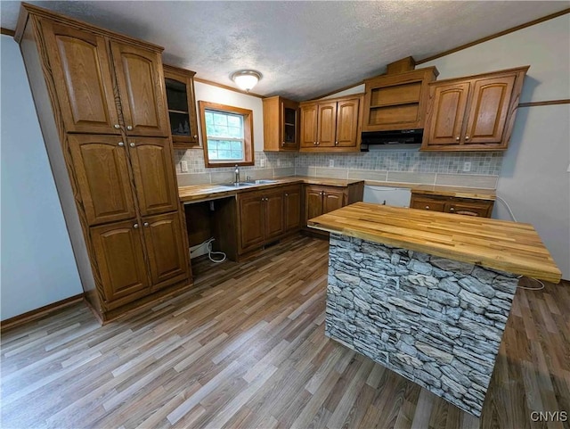 3377 Beeman Hollow Rd, Erwin, NY 14801 - kitchen featuring a sink, ventilation hood, brown cabinets, wood counters, and wood finished floors