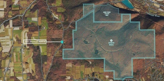 3377 Beeman Hollow Rd, Erwin, NY 14801 - map / location