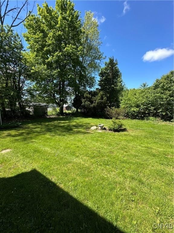 9385 Wickham Dr, Cicero, NY 13029 - view of green lawn