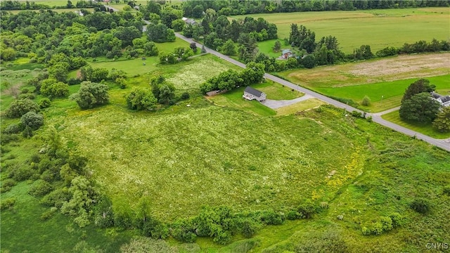 5360 Bartlett Rd, Westmoreland, NY 13440 - photo 43