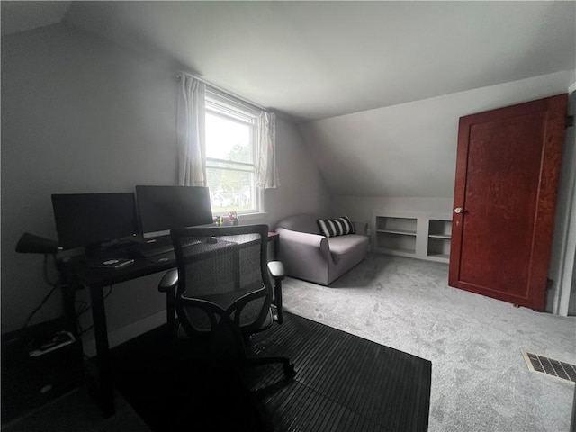 305 S Hoffman St, Elmira-City, NY 14904 - office space with vaulted ceiling, carpet flooring, and built in shelves