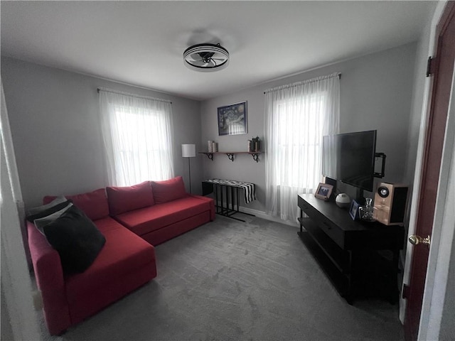 305 S Hoffman St, Elmira-City, NY 14904 - living area with plenty of natural light and carpet flooring