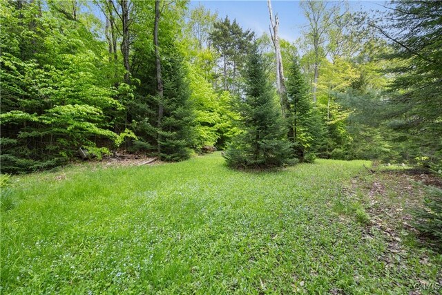 128 First St, Russia, NY 13438 - photo 27