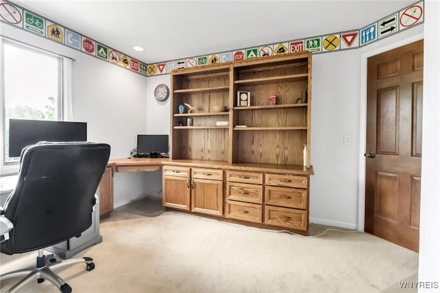 8395 Black Walnut Dr, Clarence, NY 14051 - office space featuring light carpet and baseboards