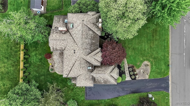 8395 Black Walnut Dr, Clarence, NY 14051 - view of subject property