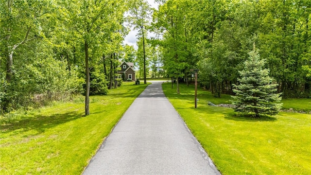 5027 Wyffels Rd, Canandaigua-Town, NY 14424 - photo 3